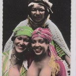 Algerian Nude Postcard